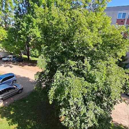 Szilfák Apartamento